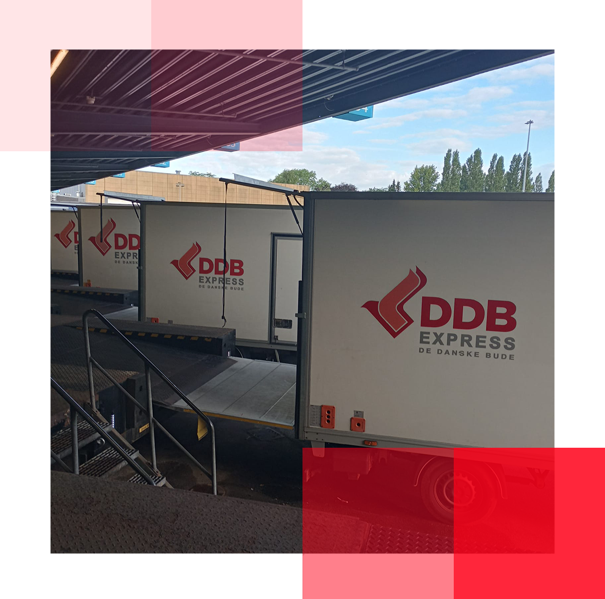 Billede af lastbiler med DDB EXPRESS-logoer, står klar til at blive læsset med varer.